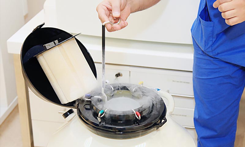 Frozen Embryo 480 Frozen embryo transfer storage